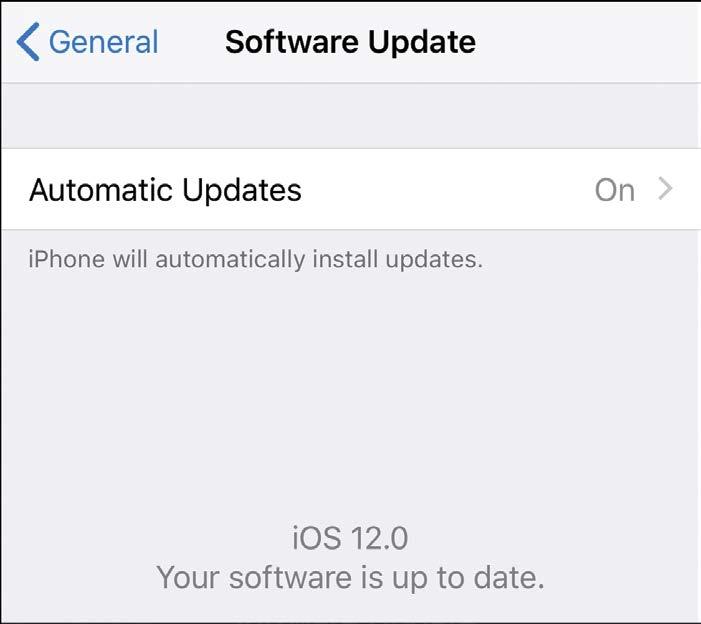 5 Set the Automatic Updates switch to on (green).