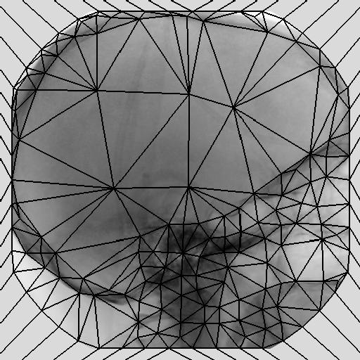 Right: The mask image with the resulting mesh (Delaunay triangulation) superimposed. scanned for pixels at which I(x, y) is above a certain threshold Θ e.