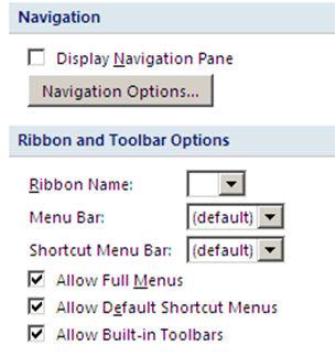 caption for Access window s title bar Display Form designate which form to open as application loads Display Navigation Pane cleared this so Navigation Pane would be hidden why hide Navigation Pane?