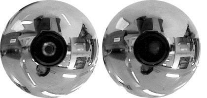 clear images. However, the ODI acquired with the spherical mirror does not have a single center of projection and cannot be transformed into normal perspective images.