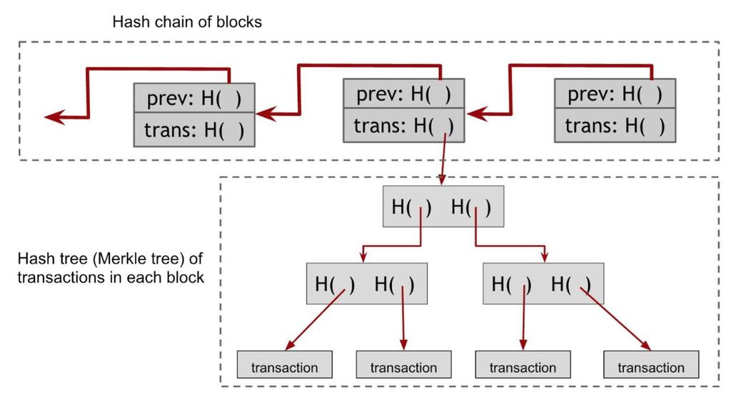 MERKLE TREE - BITCOIN CONSTRUCTION CRYPTOCURRENCY DECL LECTURE 4 21 Transactions are leaves in the Merkle tree, includes a coinbase transaction Two hash structures 1. Hash chain of blocks a.