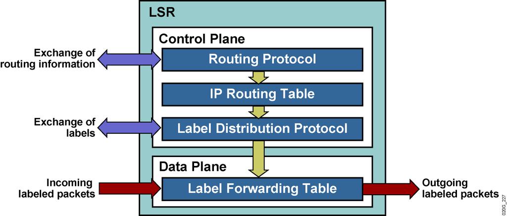 Label Switch Routers (Cont.
