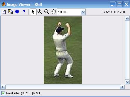 4.5 STAGES OF SEGMENTATION : This search engine is based upon dynamic search on runtime and thus it processes each new image individually. Following is a figure of a player taking a catch of a ball.