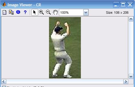 is run over the entire image of cricket to separate the object from the background. Following figure illustrates this crop. Step2: The next step in the image pre-processing is image enhancement.