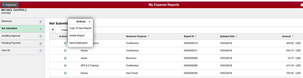 My Expense Reports Options Copy to New Report will create a new report based on an existing report which can then be modified.