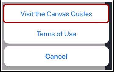 Visit Canvas Guides To visit the Canvas Guides, tap the Settings icon. Then tap the Visit the Canvas Guides button.
