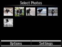 Photo Adjustment Options - Memory Card Print Setting Options - Memory Card Parent topic: Printing from a Memory Card Viewing and Printing Photos You can select photos for printing as you view them on