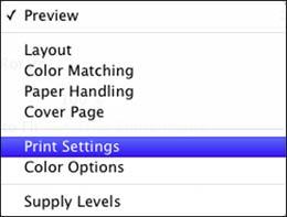7. Select any application-specific settings that appear on the screen, such as those shown in the image above for the Preview