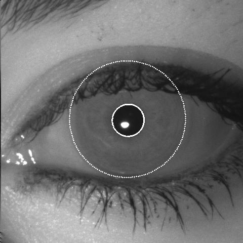Recent advances on iris biometrics bring new challenges in terms of (i) robustness under unconstrained