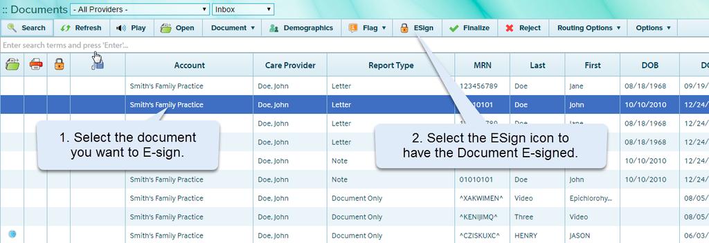 To E-sign more than one document select the first document you want to E-sign (left mouse click) and then drag your mouse over the additional documents you want to E-sign.