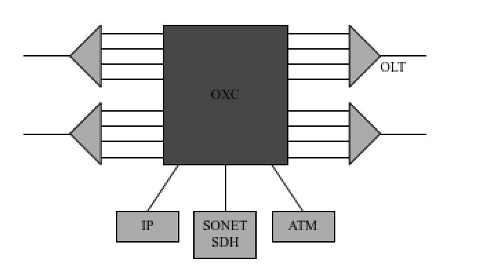 Optical Crossconnects 1 OXCs are used