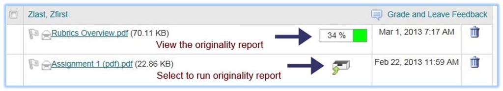 Once the originality report processes, there will be a colored bar which