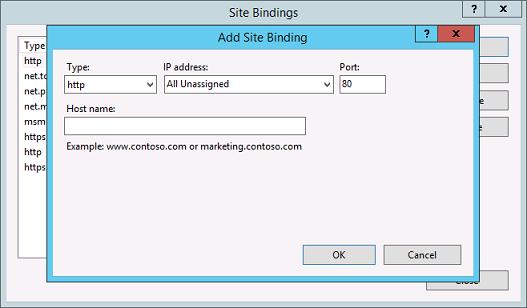 3. Create a new binding that has no host name and a value of All Unassigned for the IP