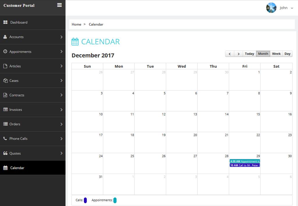 Calendar Page: You can view Phone Calls and Appointments on