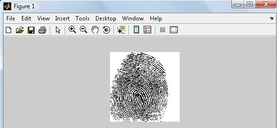 Figure 2.1: Fingerprint Image The first image in Figure 2.1 is the original non-transformed fingerprint image. The input image is a fingerprint image of 512 x512 in bmp format.