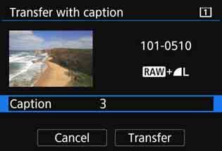 For instructions on creating and registering captions, see page 170. 1 2 3 Select [Image transfer].