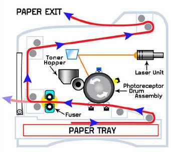 6.1.3 The laser printing process All laser printers use basically the same process to produce images.