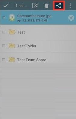 Sending Share Links You can also send share links directly from your mobile app. To send a secure or public share: 1. Press the My Files link. The My Files screen displays.