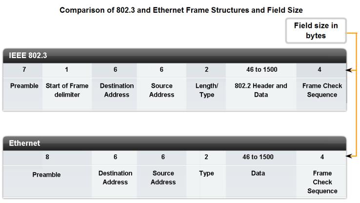 Layer 2 addressing and its Impact on Network Operation and Performance The Frame