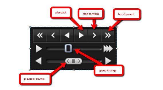 Playback / Reverse Playback: Click to plays videos.