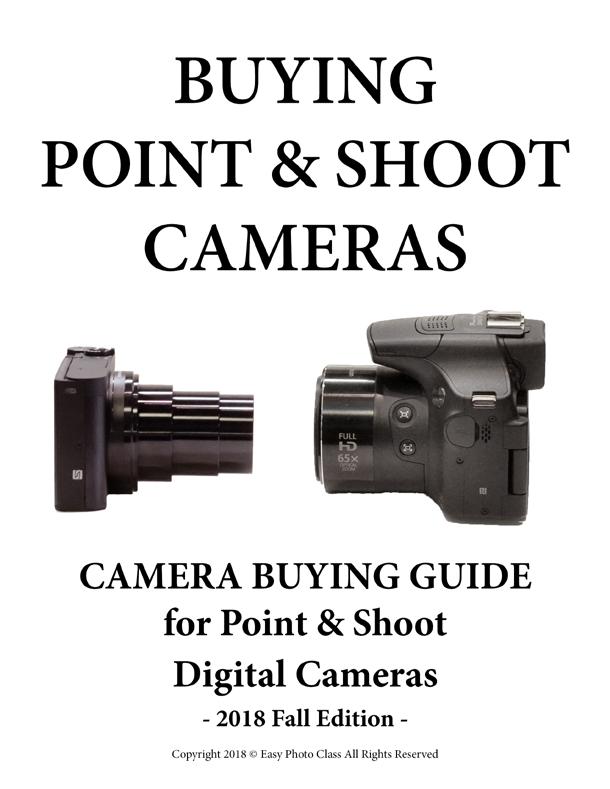 Mirrorless Buying Guide l Point &