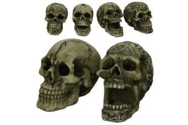 SKULL 3 ASSORTED IN COLOUR BOX 5033849073176
