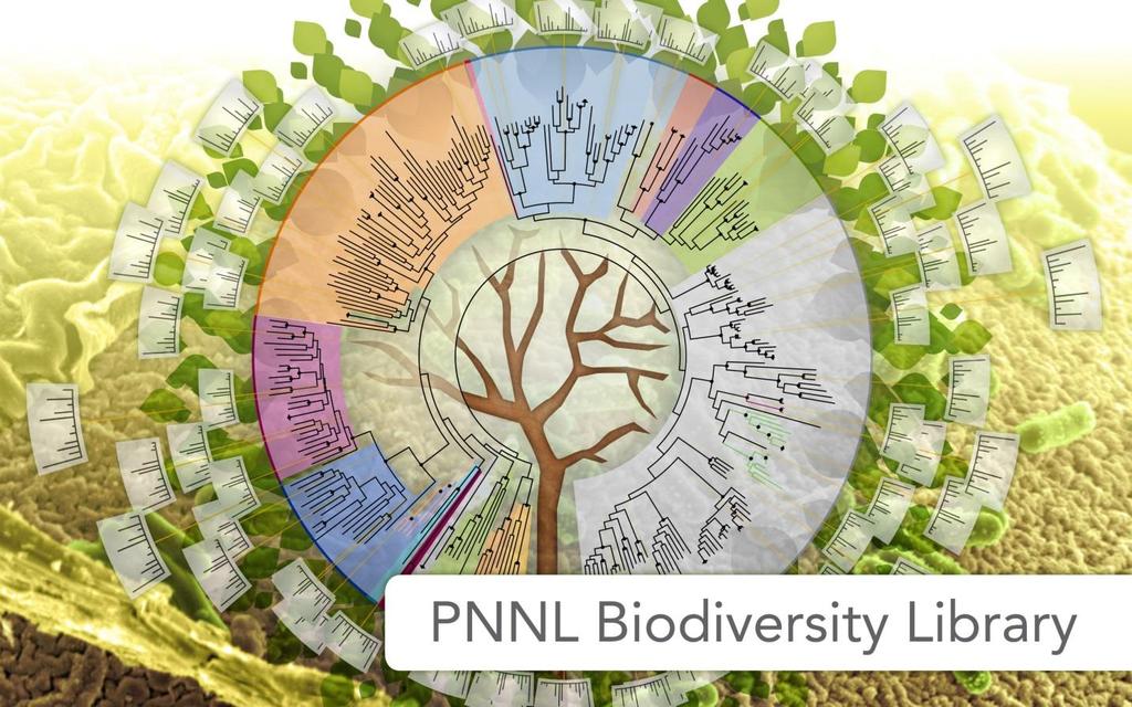 Tutorial for the PNNL Biodiversity Library Skyline Plugin Developed By: Michael Degan, Grant Fujimoto, Lillian Ryadinskiy, Samuel H Payne Contact Information: Samuel Payne (Samuel.Payne@pnnl.