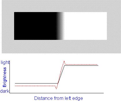 Mach Bands Mach Bands The solid black curve represents the amount of light being reflected from the figure at the top.