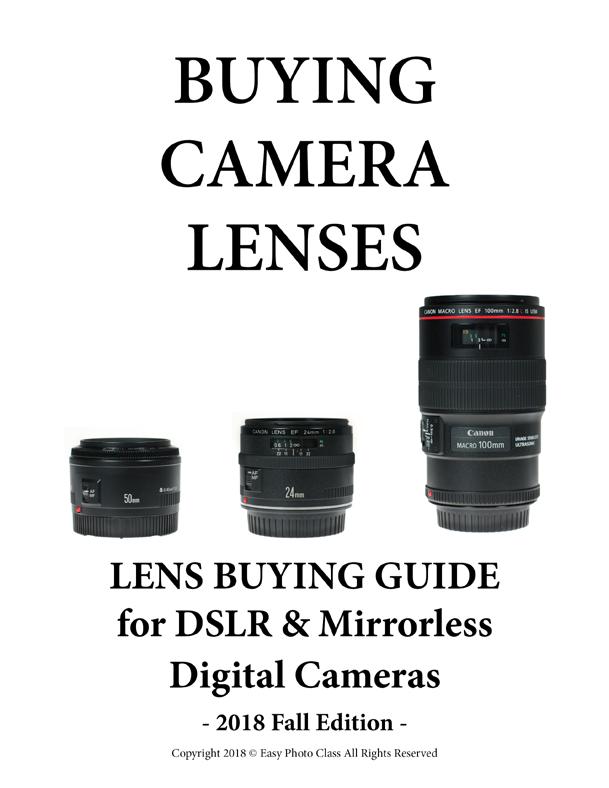 SLR and Mirrorless Buying Guide l Point &
