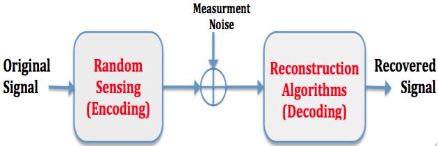 Clustered Compressive Sensing: Application on Medical Imaging Solomon A.