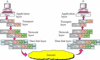 Internet Model (cont.) 23 Example [ transport layer addressing ] Figure below shows an example of transport layer communication.