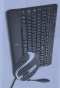 can be understood by the computer. The purpose of input devices is to pass information into the memory unit of the CPU and convert the characters into binary patterns.