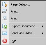Report menu In the window of reports, using the menu bar or item File, users can choose from advanced options. Menu items: Page Setup - Print Print Printout options e.g. type and size of paper, margins, page position.
