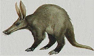 Aardvark The bug eater A formal commenting format Used to collect written comments on specific review documents.
