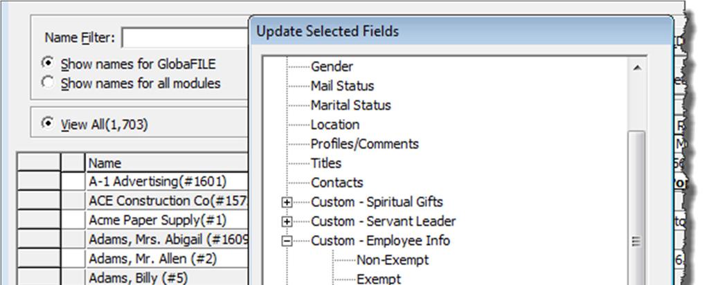 Making Adjustments to Your Data Update Selected Fields GlobaFILE > Utility > Update Selected