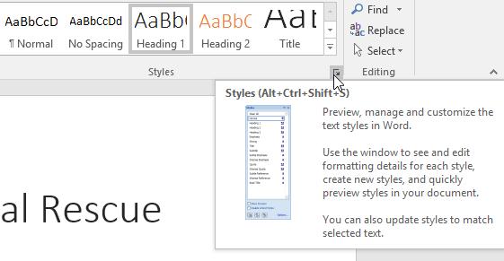 The Styles task pane will appear. Select the New Style button at the bottom of the task pane. A dialog box will appear.