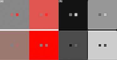 to CIECAM02 Color Appearance Scales Similar to Munsell / CIECAM02 (limited) Constant Hue Lines Best Available (IPT) Facilitates Gamut Mapping