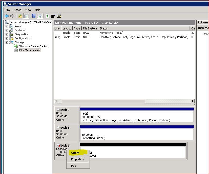 1. Open Server Manager and select Storage then Disk Management You will see which disks are online or offline.