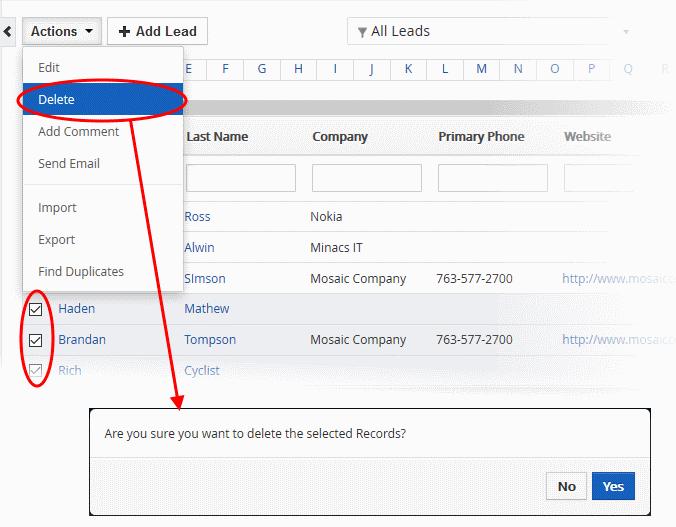 Click 'Yes' in the confirmation dialog to remove the record(s) Add Comments to Lead Records You can leave a comment applies to all selected leads.