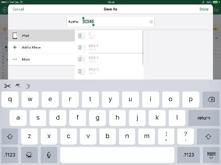 information After Excel app is selected, the job record spreadsheet will open *ipad can only view 1 job at a time.