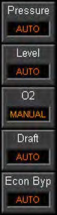 Econ Bypass. The current control mode of the loop (AUTO, MAN, TRACK) is built into the button.