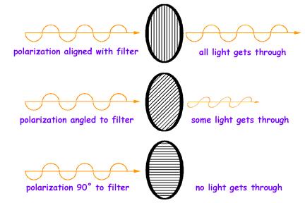 Polarization The Polarization of an EM wave is defined to e the direction of its Electric field vector.