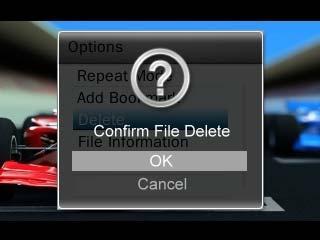 File Information This option will display all information about the video file currently