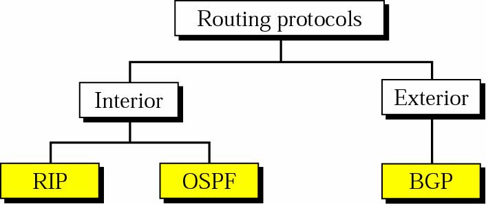 router exchanges routing info with routers in other S s r. L.