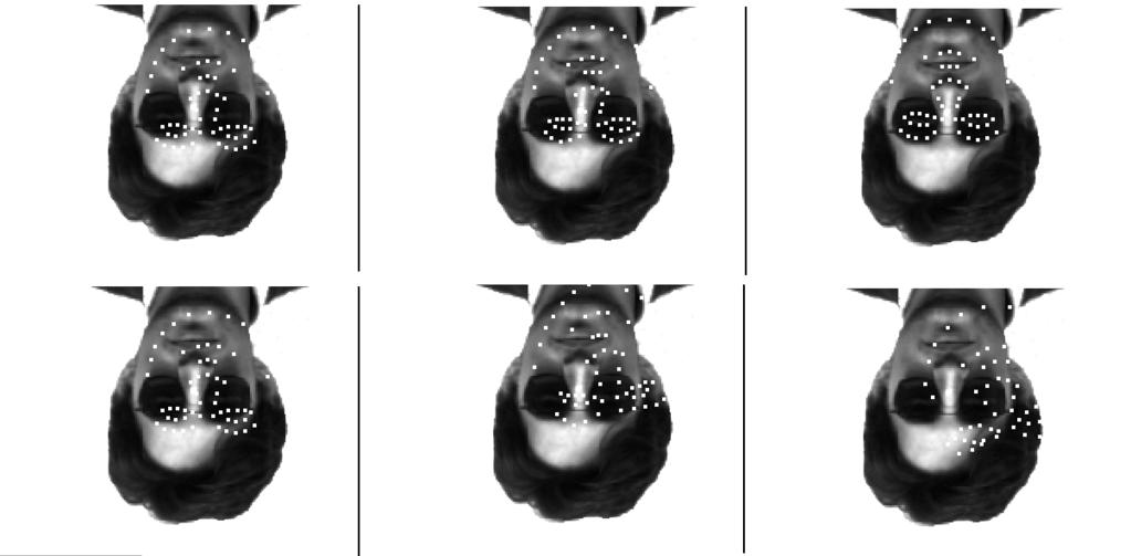 Figure 7: Example of sensitivity of AAM (upper) and AWN (lower) to partial occlusion. Images from left to right are initialization, iteration 2 and final matches.