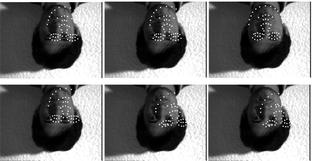 formable image matching, while relying in a texture model based on Gabor wavelet networks. Our experimental results show that AWN is more robust to illumination changes and partial occlusion than AAM.
