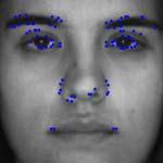 Significant Point Detection Containing geometric information, significant points are detected at those positions which have rich edge information in a face image.
