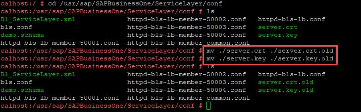 3. APPLY THE CERTIFICATE TO THE SERVICE LAYER To establish a secure connection to the Service Layer, apply the previously generated certificate and key. 3.