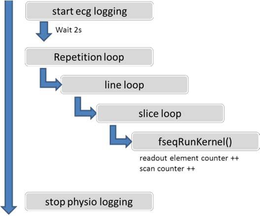 4.3.2 Data structure and reordering Figure 3: Execution chain in fseqrun() As shown in Figure 3, the sequence is structured as 3 nested loops cycling over repetitions ( measurements ), phase encode