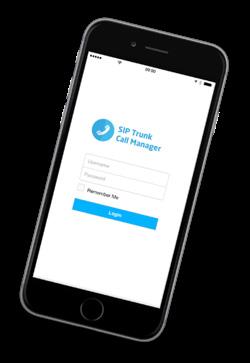 SIP Trunk Call Manager SIP Trunk Call Manager offers powerful business continuity as standard, giving you the ability to manage your entire number estate and all aspects of your inbound calls.